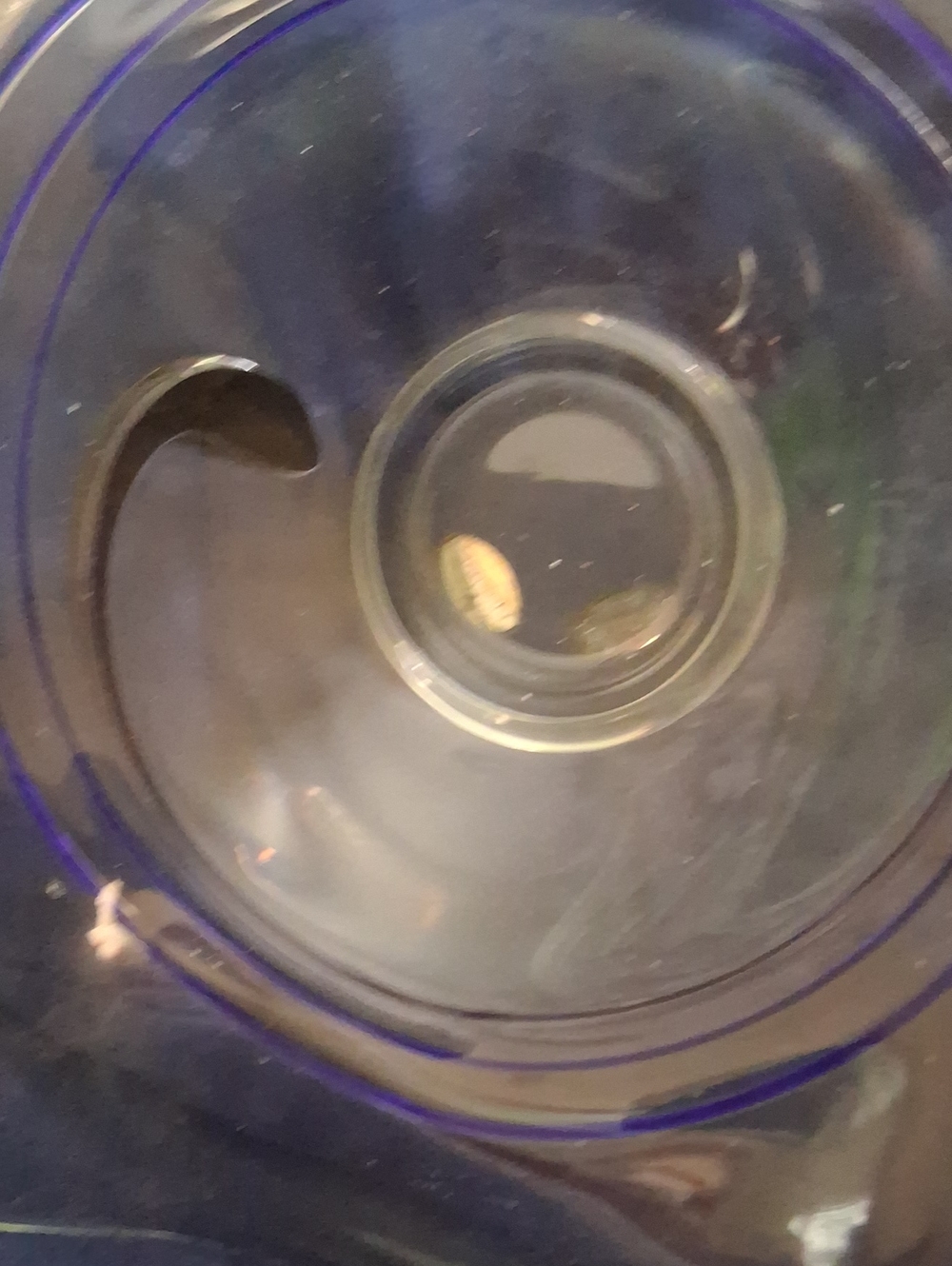 Clear Round GLASS VASE WITH BLUE& WHITE COLORS